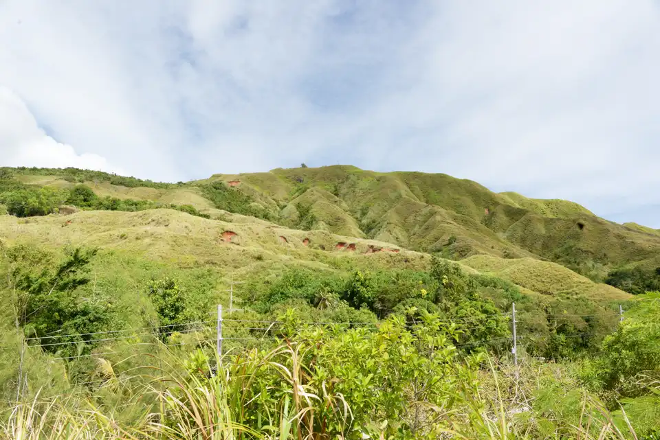 タロフォフォ山